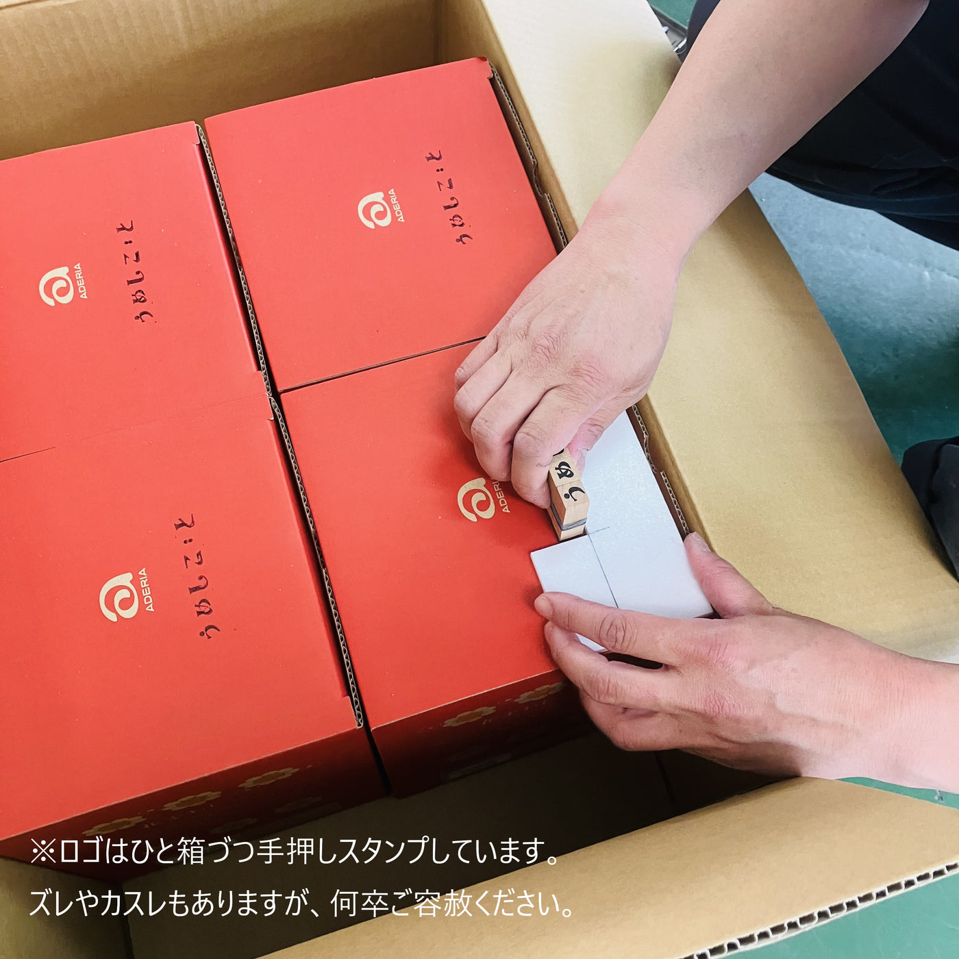 【数量限定】アデリアレトロ 梅しごとハッピーバッグ アリス（オリジナルトートバッグ付き）
